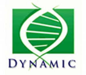 cropped-Logo_Dynamic3.jpg